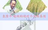 袁隆平在青岛揭秘超级稻：绝对不含转基因