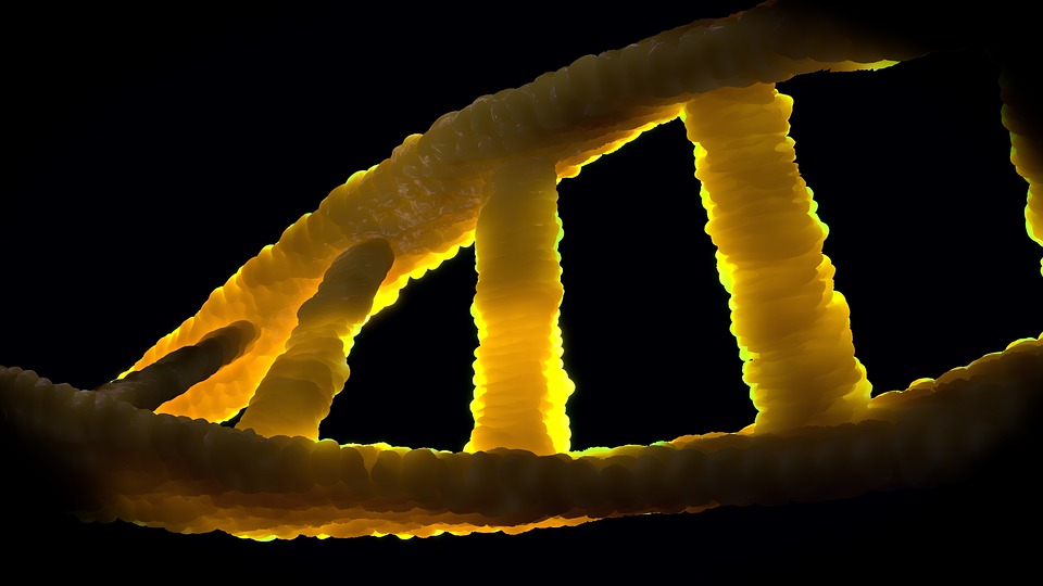  ICG-18杭州会场今日盛大启幕！纪念DNA“双螺旋”结构发现70周年