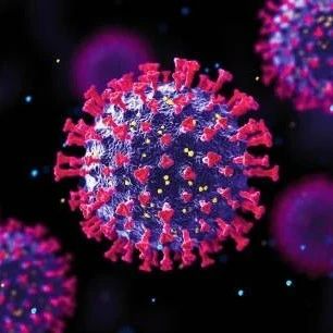 <b>人类基因BTN3A3可以防止大多数禽流感病毒变种跳跃到人类中</b>