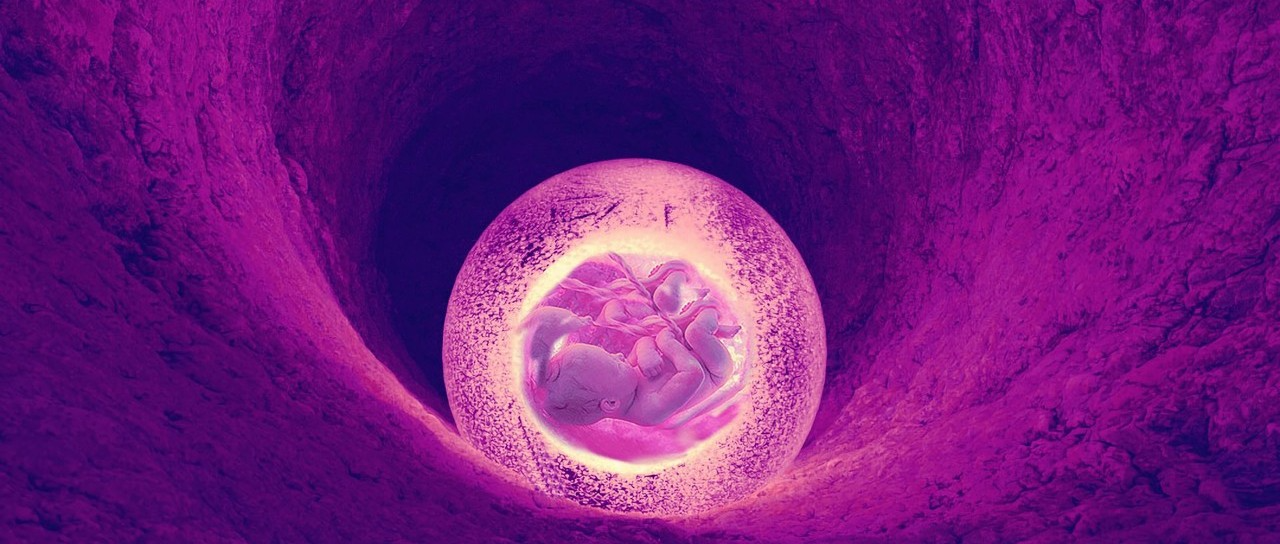<b>科学家利用干细胞重现人类胚胎早期发育关键阶段！</b>