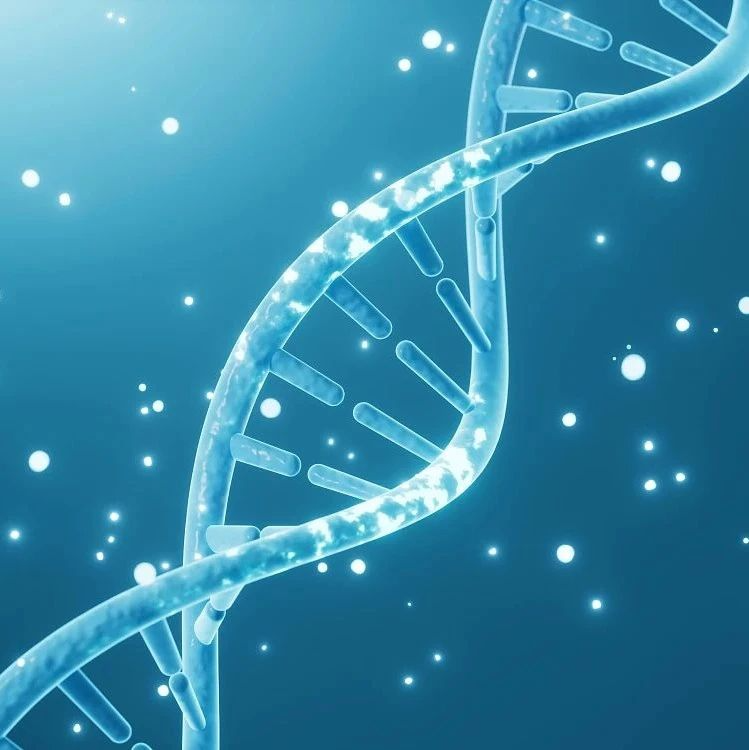 DNA修复研究有望帮助开发出新型靶向性癌症疗法