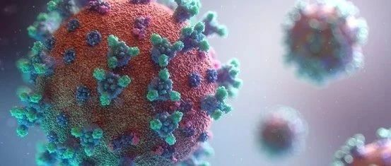 <b>禽流感病毒H3N8感染人的潜在机理</b>