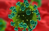 美国NIH院长称艾滋病疫苗开发才到“半山腰”