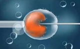 国际干细胞研究学会：在生育治疗中使用基因编辑技术为时过早