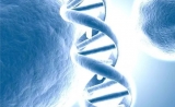 无创产前基因测序需求分析，市场需求旺盛