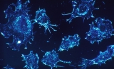 “改造”癌细胞对抗癌症？Science子刊展示：巧用“魔剪”的新思路