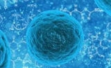中国首个干细胞药物有多远？