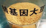 转基因科学家获得今年“世界粮食奖”