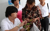 北京植物诊所启动  解决植物看病难题