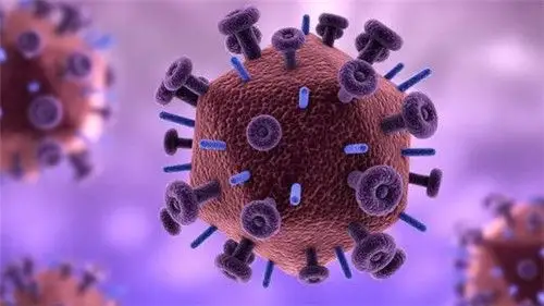 Nature：这款艾滋病药物可逆转中年记忆力丧失