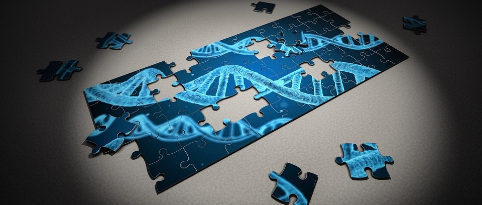照亮人类基因组中的“暗部”！Nucleome Therapeutics获4000万美元融资