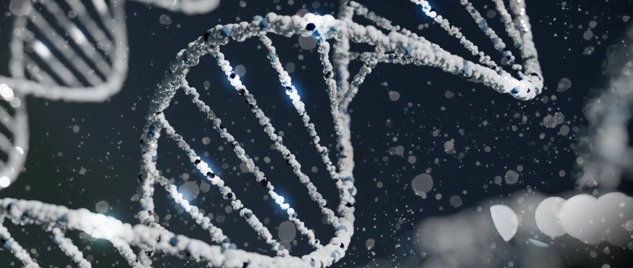 <b>​Protein Cell | 松阳洲组成功开发高效的基于相分离蛋白辅助的CRISPR转录激活工具</b>