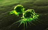 研究人员发现癌细胞的“加油泵”