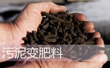 西门子赢得中国最大污泥生物干化项目
