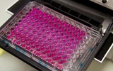 抗癌药物筛选的新工具，CellMiner极大节省人力成本