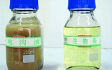 中国研发生物燃料解决餐厨废弃物处理难题
