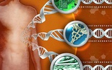 基因组测序助推个性化医疗时代到来