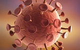 美科学家成功绘制疱疹病毒致癌图谱