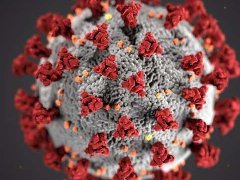 Science：重磅！Omicron等变体，正在进化出逃避抗体、疫苗的新方法