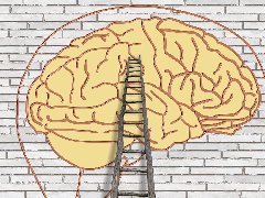 一朝被蛇咬，十年怕井绳，找到了科学依据！最新研究揭示“恐怖分子”多巴胺
