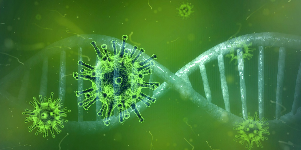 <b>FDA紧急授权新冠特效药，3天可消除病毒，包括Omicron</b>