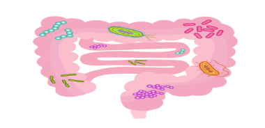 PNAS：你的口味，肠道内微生物来决定！