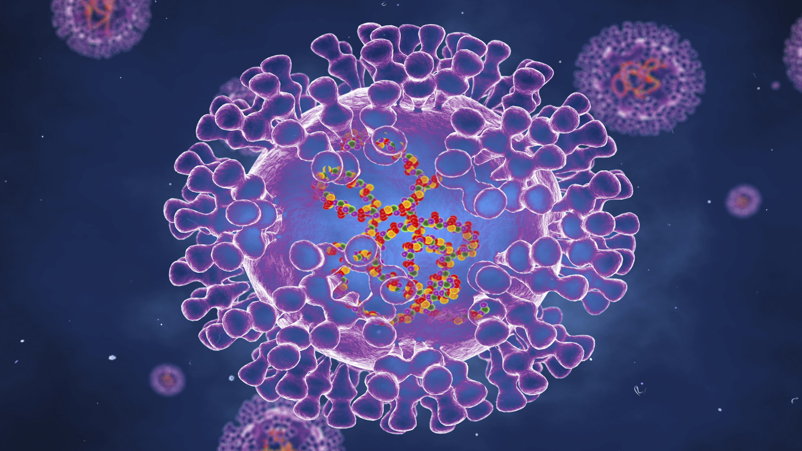 <b>猴痘病毒最新基因测序结果公布，近似于英国三年前毒株</b>