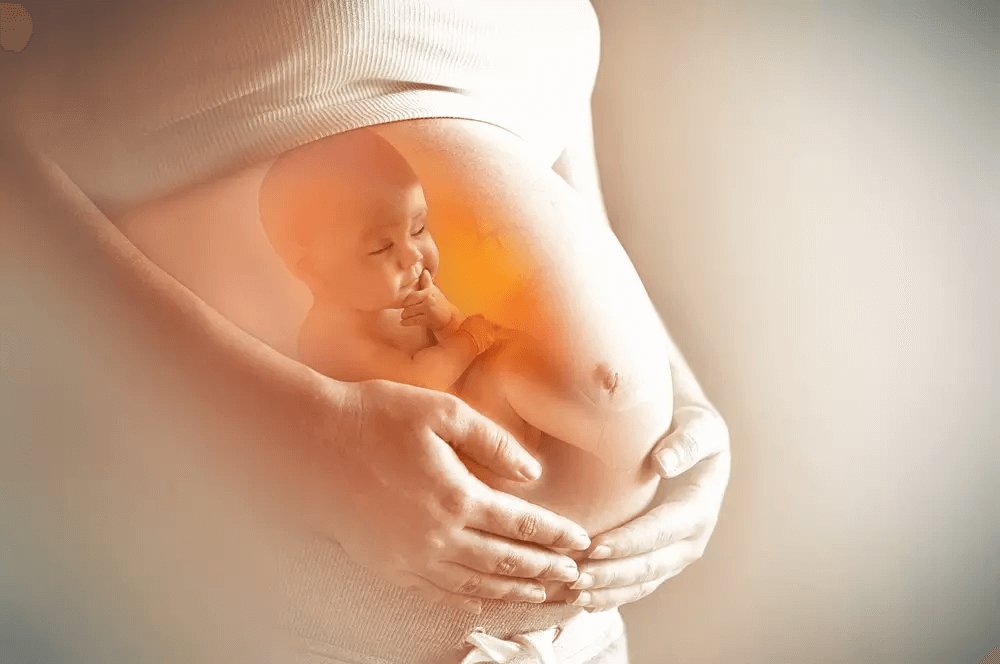 <b>子宫内生死之战，Nature：母体为保卫胎儿抵御细胞感染有多努力？</b>