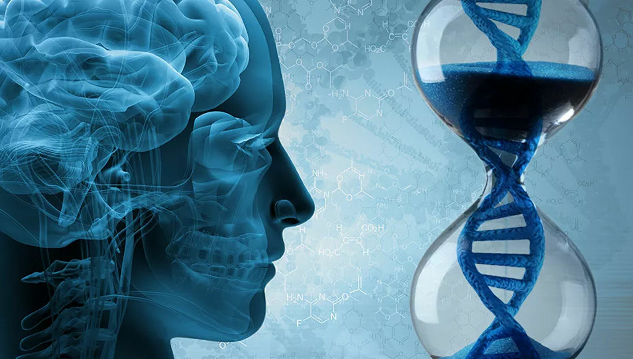<b>到底几点睡觉算熬夜？补觉能补回来吗？Nature & Cell子刊为您解答</b>