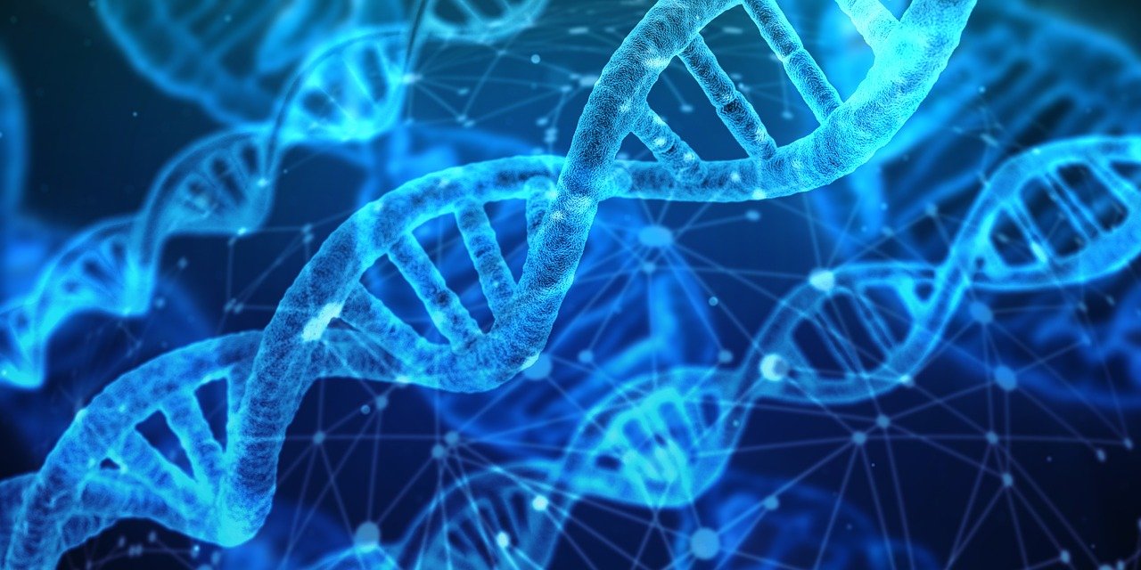 Certara宣布推出新版生物模拟软件，助力新型生物制剂开发