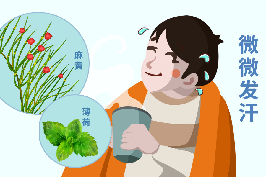 <b>谈谈连花清瘟作为感冒药的优势</b>