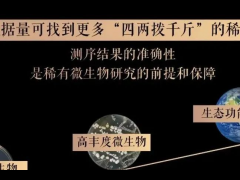 稀有微生物可四两拨千斤：扩增子测序引入假阳性稀有类群干扰对微生物群落多