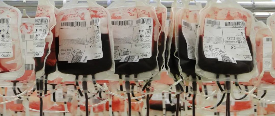 造血干细胞实现人工制造，或可满足血液疾病对造血干细胞捐献的需求