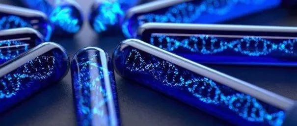 TOP10！全球最具生产力的10家生物制药公司（上）