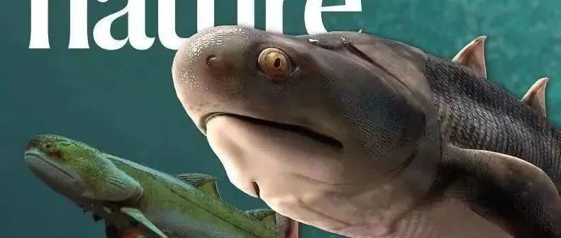 <b>填补世界空白！“从鱼到人”Nature探源研究取得重大突破！</b>