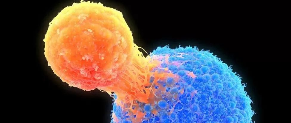 基因编辑+CAR-T强强联手！癌细胞定向清除，史上最复杂的基因疗法：实现癌症个