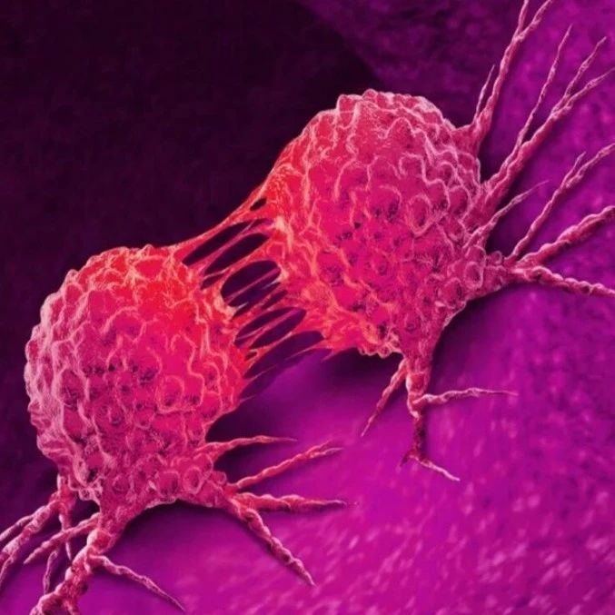 <b>PNAS：女性每天接触的日用化妆品中这种物质能激活肿瘤！</b>