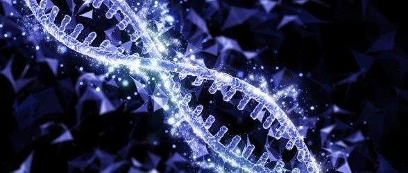 走向临床！“逐字”修改基因的多重碱基编辑疗法获FDA批准IND！