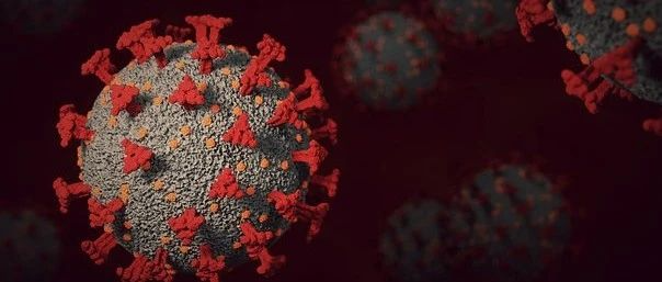 <b>Nature重磅综述：如果不采取行动，长新冠或会造成终身残疾</b>