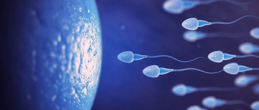 研究发现塑料中的这种化学物质可改变精子，危害延续后代两代人