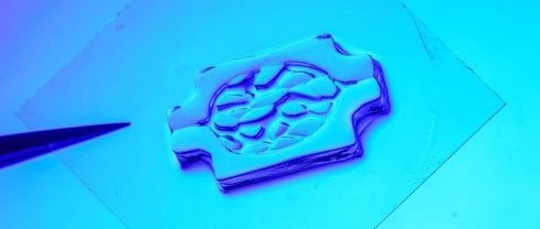 3D生物打印新突破！同时满足高细胞密度、高细胞活力、高分辨率三大要求！