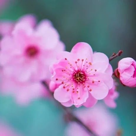 <b>3年前被判定学术不端、失去工作和经费，现在他用一篇Nature子刊证明自己是对</b>