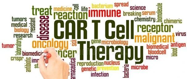 发现引起T细胞耗竭的关键复合物，有望提高T细胞疗法持久抗癌能力！