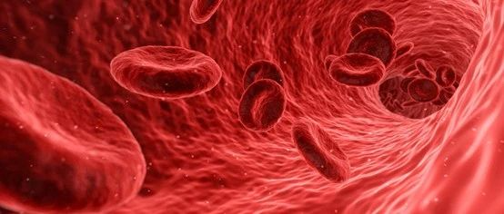 创新药物传递技术：利用血小板的特性实现肿瘤靶向治疗