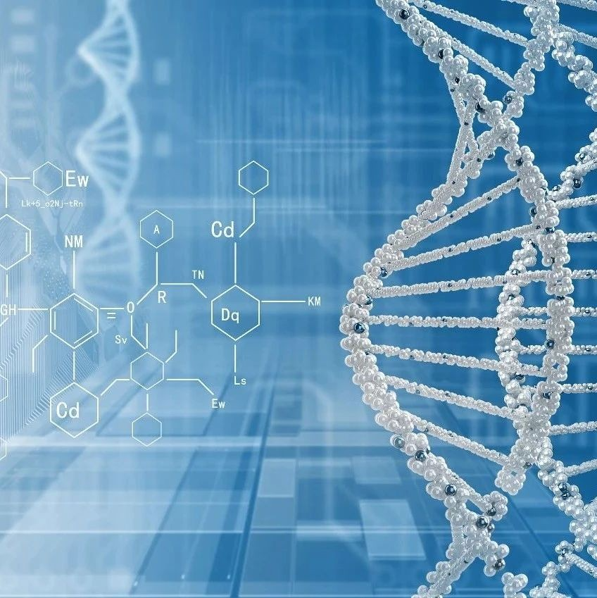<b>Nature|揭示全基因组加倍促进机体癌症发生的分子机制</b>