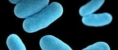 冷泉港研发出新型“变形”抗生素，或是对抗耐药病菌的关键武器！