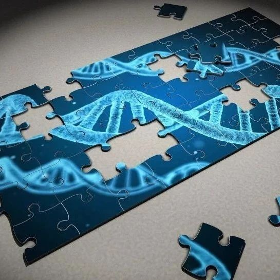 <b>Cell：单碱基编辑技术，成功修复重症免疫缺陷的基因突变，恢复T细胞产生</b>