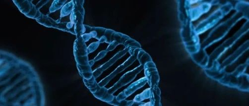 新发现：加速癌症发展的染色体外DNA，甚至出现在癌症之前，推动组织癌变！