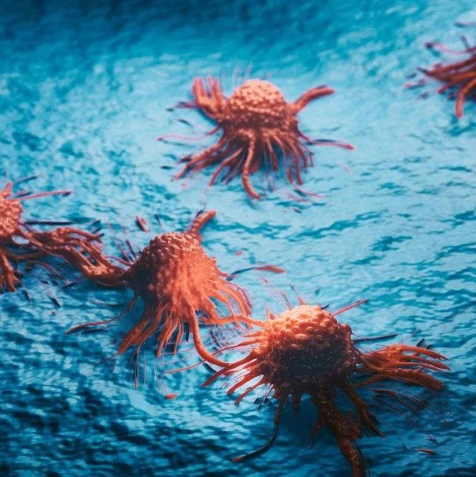 转移性肝癌的潜在治疗新策略