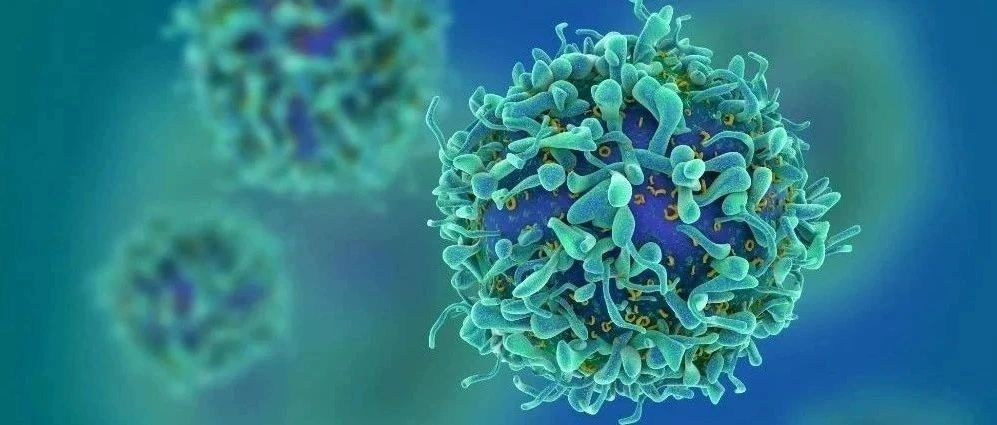 <b>2025-2026年，若疫苗接种率达68%或将消除新冠死亡率！</b>